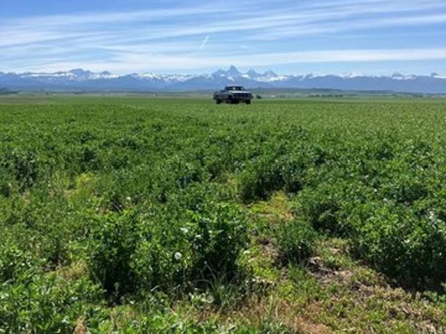 Land for sale in Felt, Idaho