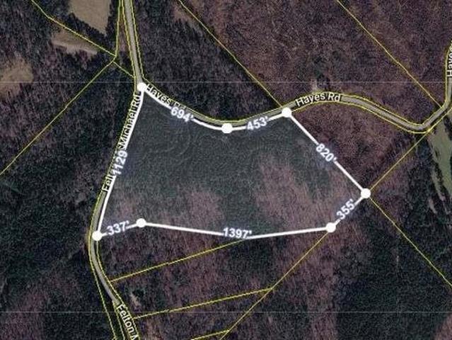 Land for sale in Monticello, Georgia