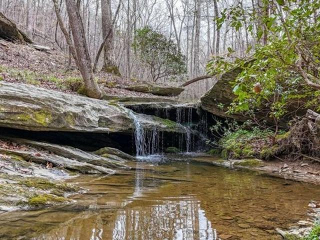 Land for sale in Haralson, Georgia