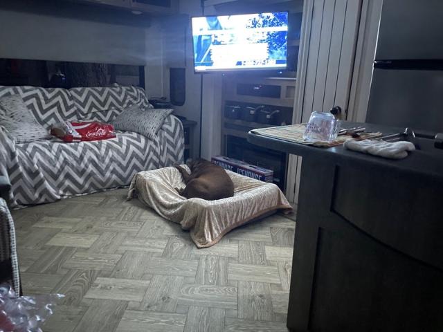 Room for rent in Florida