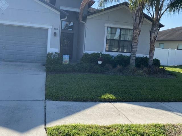 Room for rent in Zephyrhills, Florida