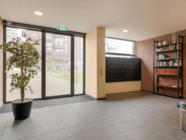 Kamer te huur in Katendrecht, Rotterdam