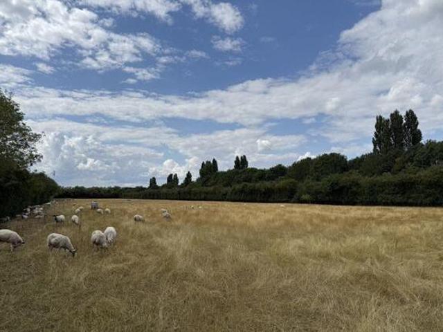 House for sale in Arbury, Cambridgeshire