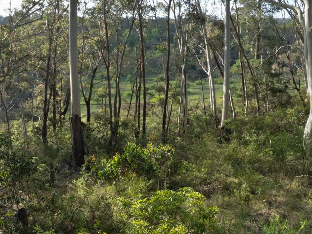 Property for sale in Katoomba, New South Wales