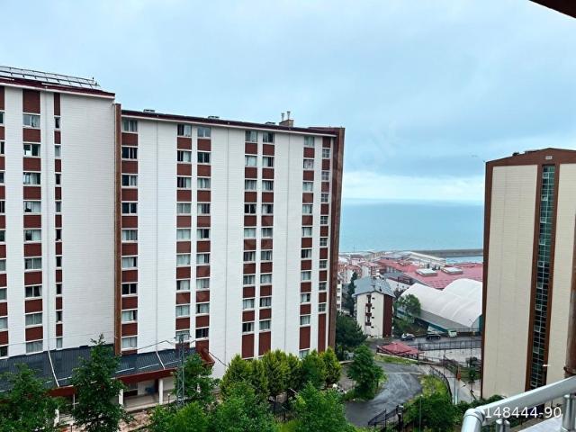 Rize içerisinde satılık mülk