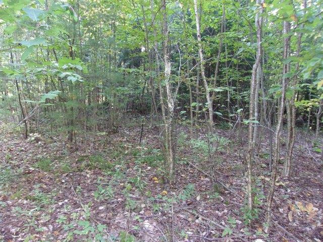Land for sale in New Hampshire