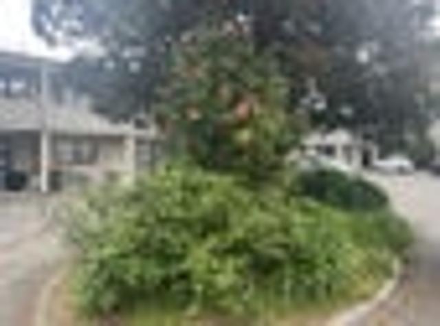 Apartment for rent in Bay Of Plenty