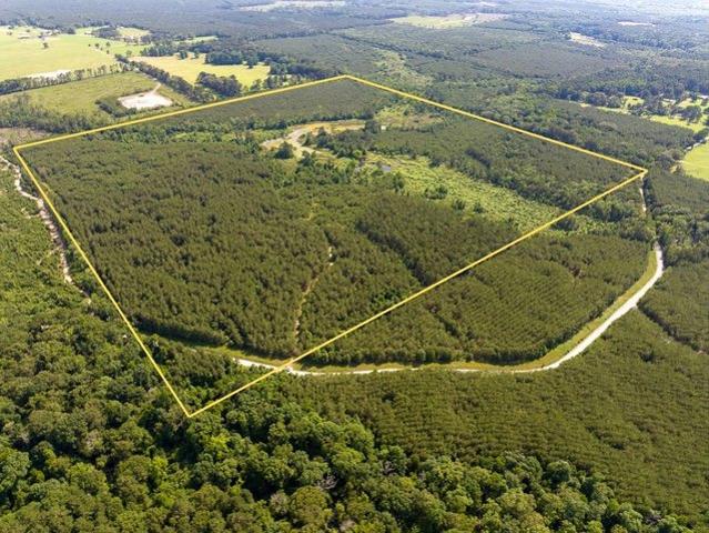 Land for sale in Coushatta, Louisiana