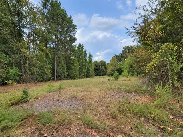 Land for sale in Harleton, Harrison County