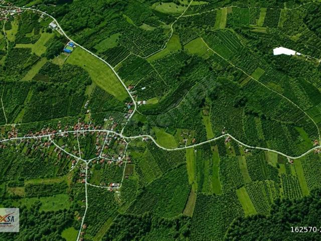 Ferizli, Sakarya içerisinde satılık mülk