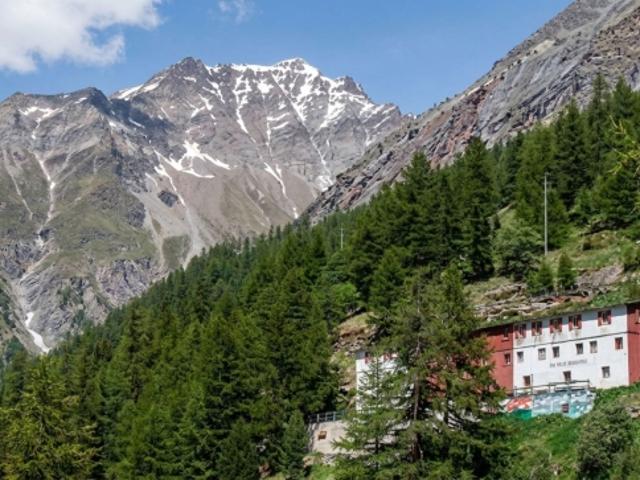 Mehrfamilienhaus kaufen in Saas-Almagell, Wallis