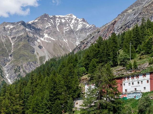 Mehrfamilienhaus kaufen in Saas-Almagell, Wallis