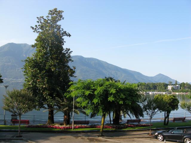 Wohnung mieten in Muralto, Tessin