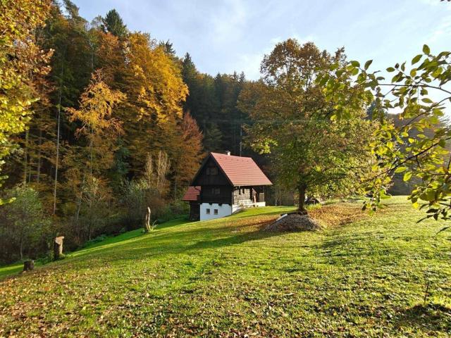 Haus kaufen in Mitterfladnitz, Eichkögl