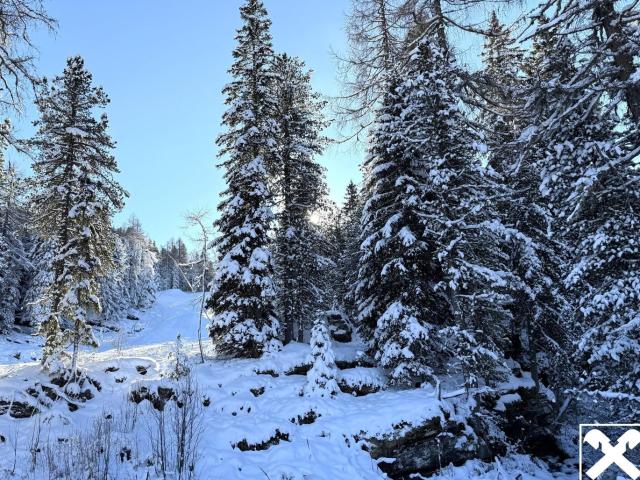 Haus kaufen in Predlitz-Turrach, Steiermark