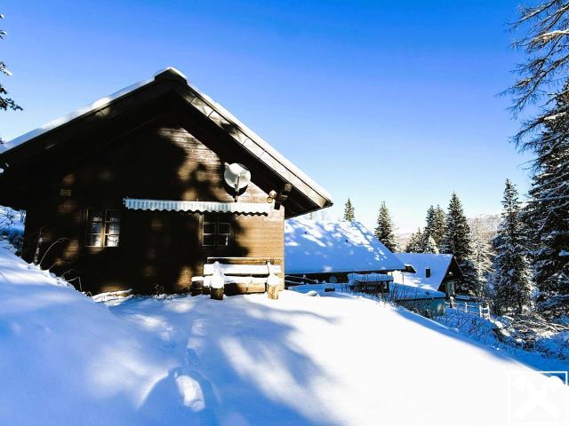 Haus kaufen in Predlitz-Turrach, Steiermark