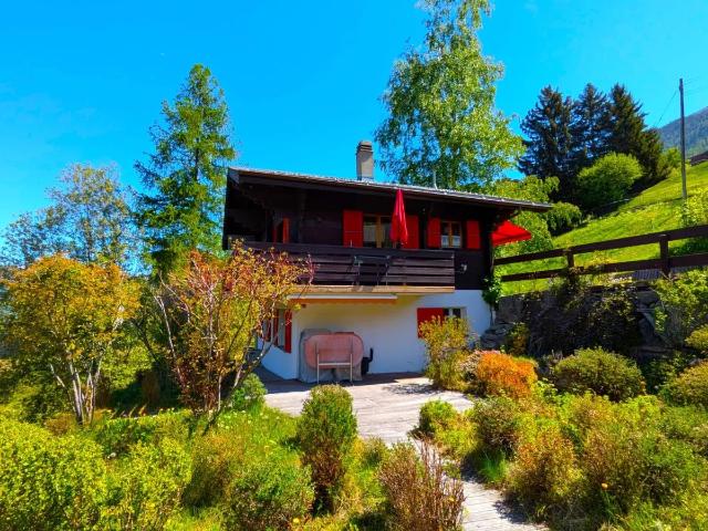 Haus kaufen in Grächen, Wallis