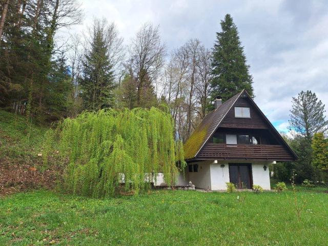 Haus mieten in Wartmannstetten, Niederösterreich