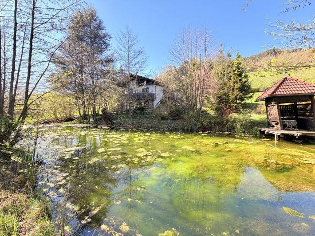 Haus kaufen in Ludmannsdorf, Kärnten