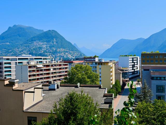 Wohnung kaufen in Paradiso, Tessin