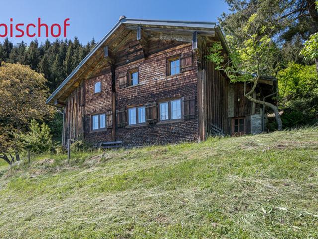 Immobilie kaufen in St. Gerold, Vorarlberg