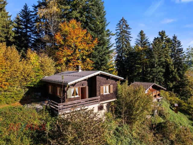 Haus kaufen in Alberschwende, Tannen