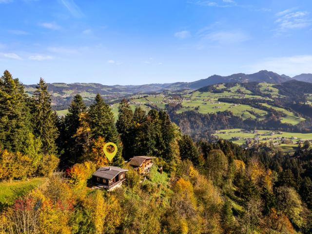 Haus kaufen in Alberschwende
