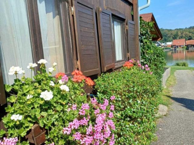 Haus kaufen in Wettmannstätten, Steiermark
