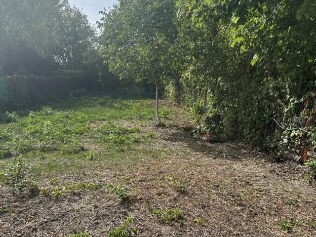 Grundstück kaufen in Burgenland