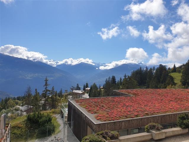 Wohnung mieten in Ayent, Wallis