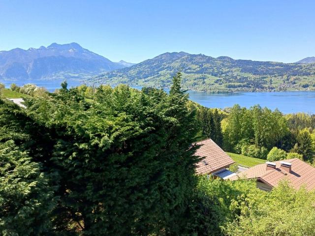 Apartment kaufen in Seefeld, Steinbach am Attersee