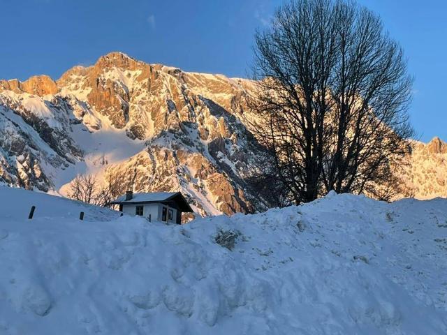 Apartment kaufen in Höfl-Zachhof, Dienten