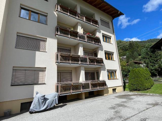 Apartment kaufen in Zirkitzen, Bad Kleinkirchheim