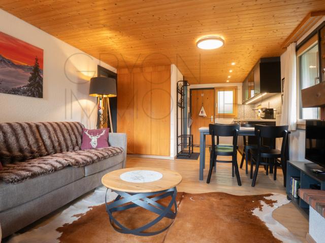Wohnung kaufen in Gryon, Waadt