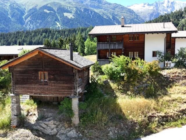 Wohnung kaufen in Ernen, Wallis