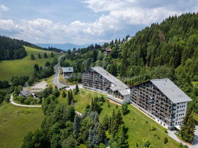 Apartment kaufen in St. Urban, Kärnten