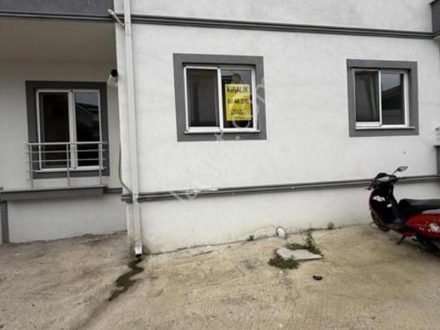 İnönü Mahallesi, Ferizli içerisinde kiralık mülk