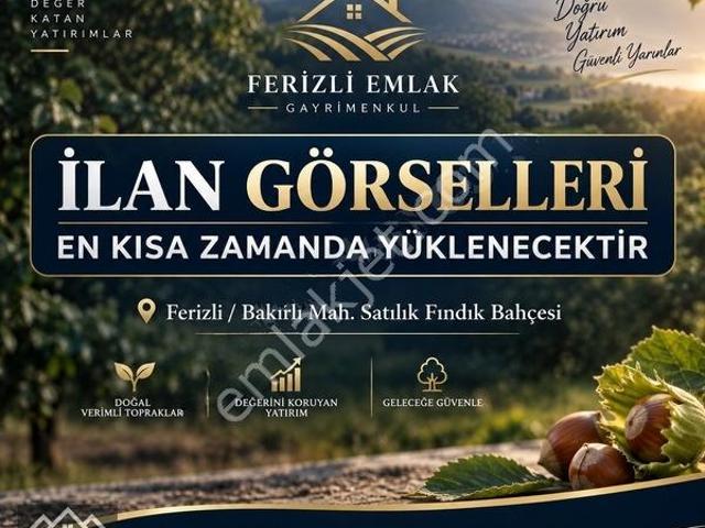 Ferizli, Sakarya içerisinde kiralık mülk