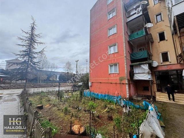 İstiklal Mahallesi, Ferizli içerisinde kiralık mülk