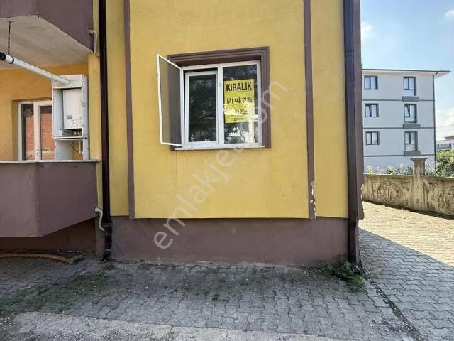 Ferizli, Sakarya içerisinde kiralık mülk