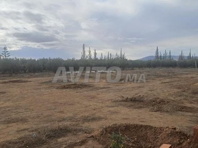 Propriété vente à Ben Slimane