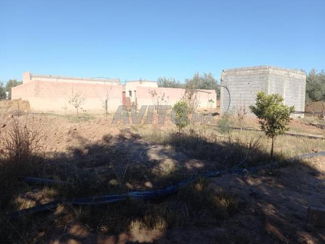 Propriété vente à Agadir, Oued ed Dahab-Lagouira