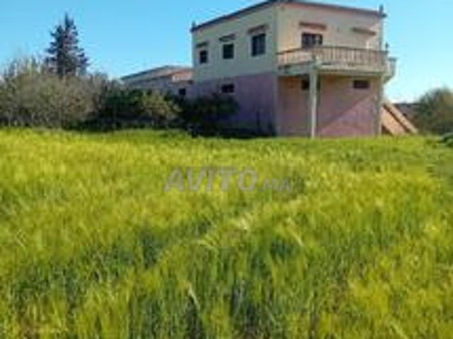 Propriété vente à Taounate