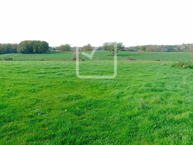 Maison vente à France métropolitaine, Firbeix