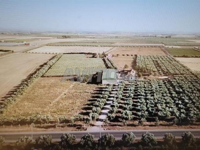 Propriété vente à Meknès