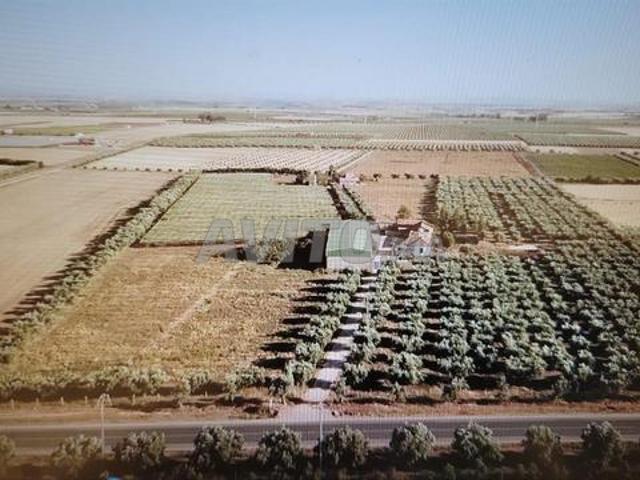Propriété vente à Meknès
