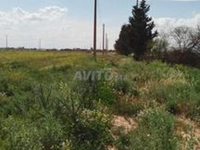 Propriété vente à Ain Sfa