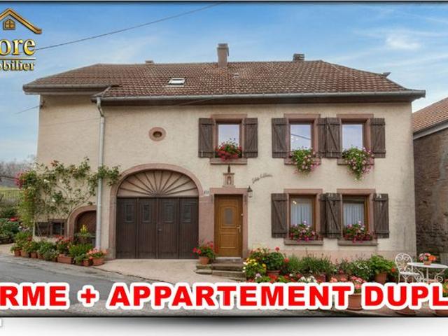 Maison vente à Saint-Dié-des-Vosges, Raon-sur-plaine