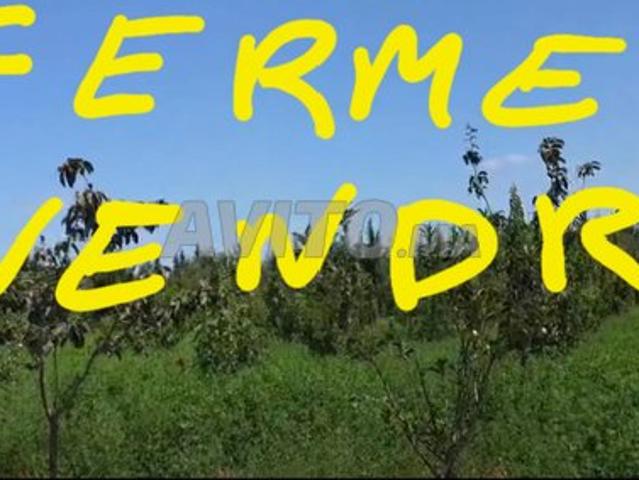 Propriété vente à Gharb-Chrarda-Beni Hssen