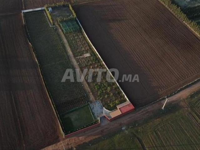 Propriété vente à Salé
